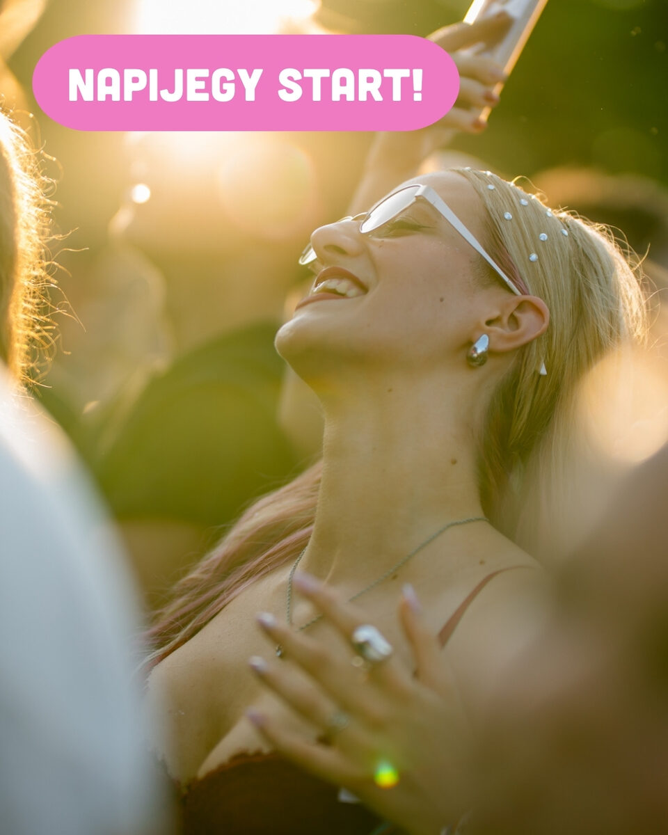 napijegy